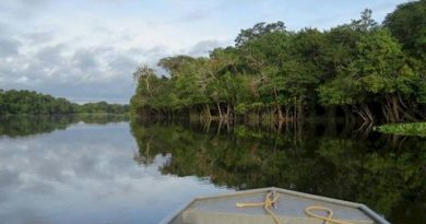 Amazonas