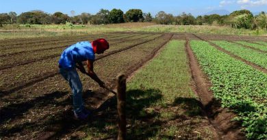 Agricultores