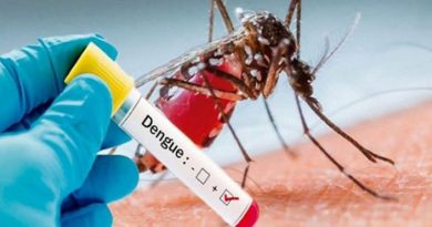 Dengue