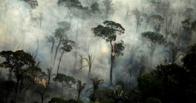 MEDIO AMBIENTE