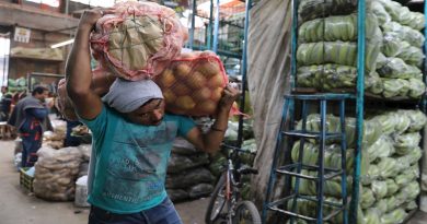 Alimentos