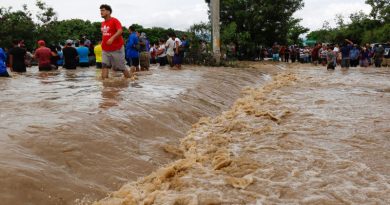 Cambio climático