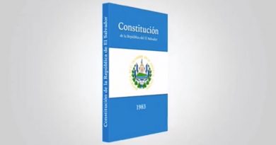 Constitución